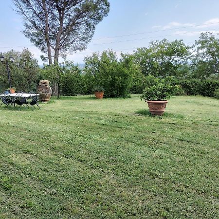 Agriturismo Bellandi Santa Lucia  Exterior photo